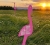 /regionat-2/burgas/48452-109-giro-d-italia-2