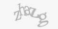 Защитный код